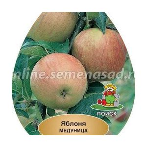 Яблоня Медуница/подвой 54-118 полукарл/С