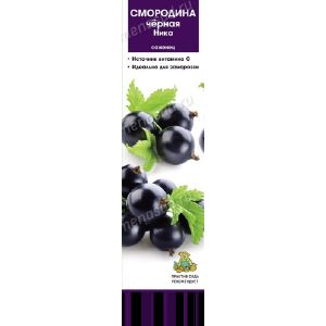Смородина черная традиционные сорта Ника/ЦвКор