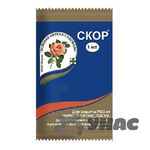 Скор 1 мл от парши на плодовых