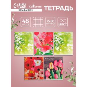 Тетрадь 48л кл Цветы, обл мел бум, блок №2 бел. 75%, 5вид. МИКС