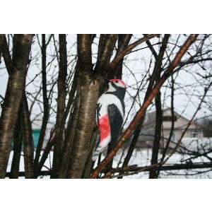 Фигура садовая Дятел 11х11х24 см