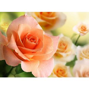 Фотообои DIVINO DECOR Розы 2 200х147 см