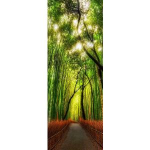 Фотообои DIVINO DECOR Бамбуковая роща 100х270 см