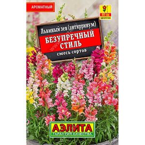 Львиный зев Безупречный стиль «Лидер» Аэлита Ц