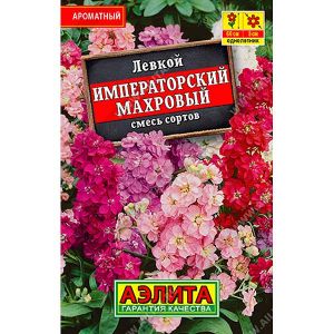Левкой Императорский «Лидер» Аэлита Ц
