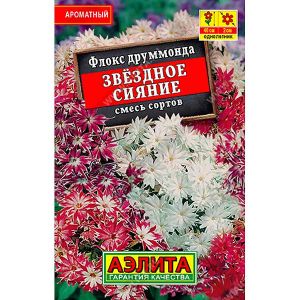 Флокс Звездное сияние «Лидер» Аэлита Ц