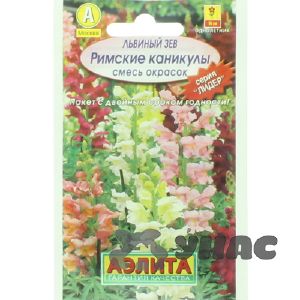 Львиный зев Римские каникулы Аэлита Ц «Лидер»