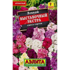 Левкой Выставочный экстра «Лидер» Аэлита Ц