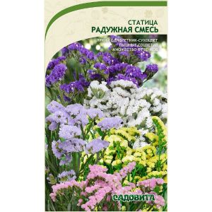 Статица Радужная смесь 0,1гр Садовита Ц