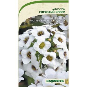 Алиссум Снежный ковер 0,3 гр Садовита Ц
