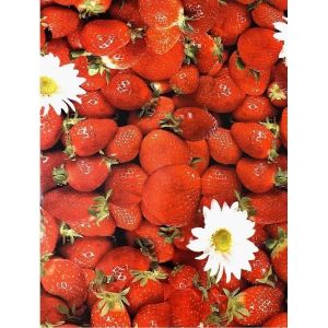 Клеенка столовая Бельгия 1156-00 140 см
