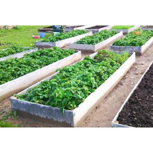 Полоса для грядок шиферная 8х300х3000 мм