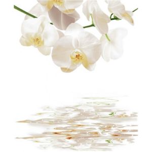Шторка для ванной фотопринт «Орхидея белая» 180х180 без колец