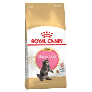 Сухой корм для котят породы мейн-кун Royal Canin Kitten 400 г