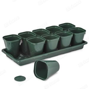 Набор для рассады 10 стаканов (0,3 л) + поддон БШ8236х10