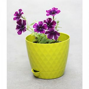 Горшок Румба d14, h14,5 см, 1,5 л киви 057163