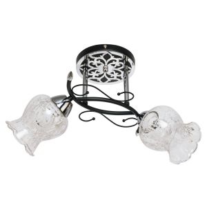 Светильник потолочный 6195GK/2 ЭкономСвет