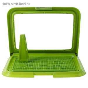 Туалет многофункциональный (под пеленку, со съемной сеткой), 49х36,5х4 см, зеленый 3880613