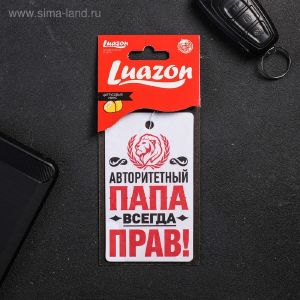 Ароматизатор в авто «Папа прав!», аромат: цитрусовый микс     2341409