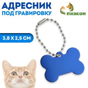 Адресник под гравировку «Косточка», 3,8 х 2,5 см, синий   7294989