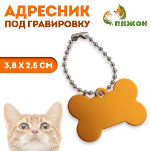 Адресник под гравировку «Косточка», 3,8 х 2,5 см, золотистый   7294990