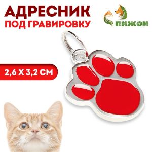 Адресник фигурный под гравировку «Лапа», 2,6 х 3,2 см, красный  7305928
