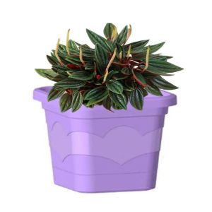 Кашпо Валенсия Квадрат 19 лаванда 2,9 л с поддоном 065104