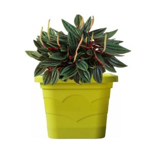 Кашпо Валенсия Квадрат 19 фисташка 2,9 л с поддоном 065103