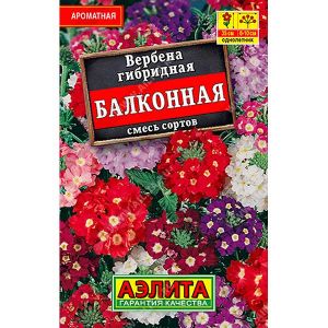 Вербена Идеальный Художник гибридная смесь окрасок Аэлита Ц