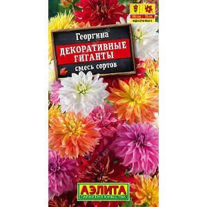 Георгин Кактусовидная смесь Аэлита Ц