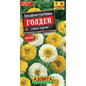 Хризантема Голден Увенчанная Аэлита Ц