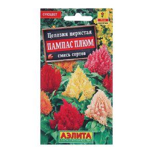 Целозия Коралловый сад Аэлита Ц