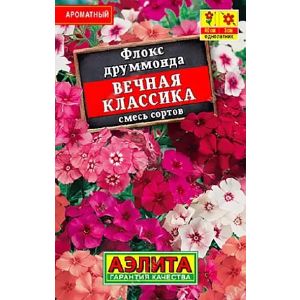 Флокс Вечная классика Лидер Аэлита Ц
