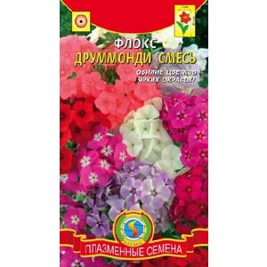 Флокс друммонди смесь Плазма Ц