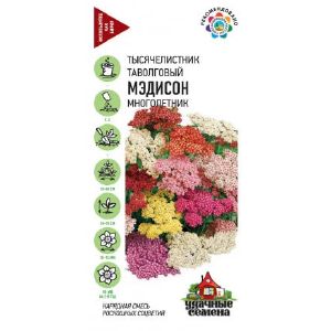 Тысячелистник Мэдисон Уд сем Гавриш Ц