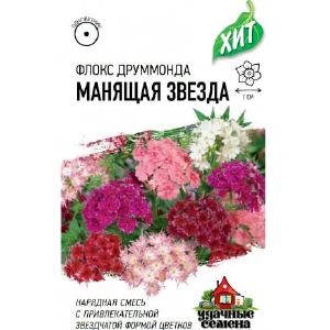 Флокс Друммонда Манящая звезда Удач сем Гавриш Ц