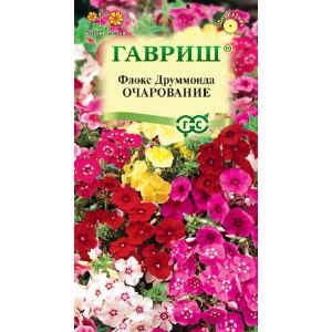Флокс Друммонда Очарование смесь Гавриш Ц