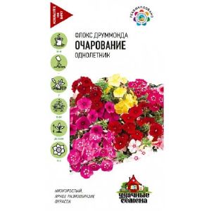 Флокс Друммонда Очарование смесь Уд.сем Гавриш Ц