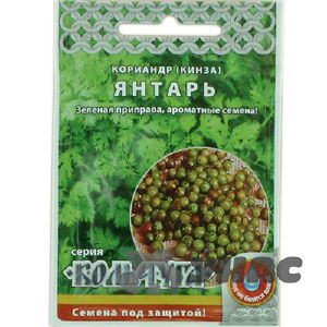 Кориандр Янтарь (кинза) «Кольчуга» НК Ц