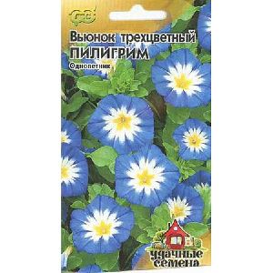 Вьюнок Трехцветный Пилигрим Уд.сем. Гавриш Ц