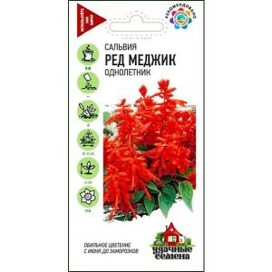 Сальвия Ред Меджик Удач сем Гавриш Ц