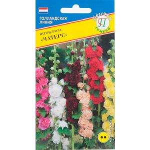 Шток-роза Чатерс Престиж Ц