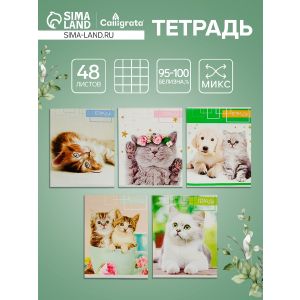 Тетрадь 48л кл Котята, обл мел карт хром, блок офсет, 5вид МИКС 3043779