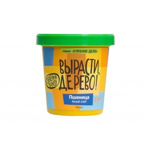 НАБОР "ВЫРАСТИ, ДЕРЕВО!"