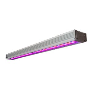 ЛАМПЫ СВЕТОДИОДНЫЕ LED ФИТО