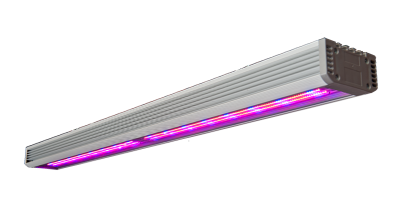 ЛАМПЫ СВЕТОДИОДНЫЕ LED ФИТО