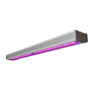 ЛАМПЫ СВЕТОДИОДНЫЕ LED ФИТО