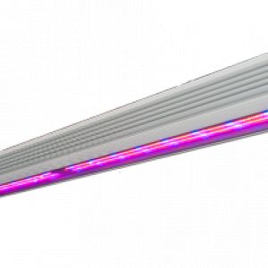 ЛАМПЫ СВЕТОДИОДНЫЕ LED ФИТО