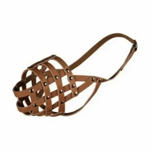 НАМОРДНИКИ