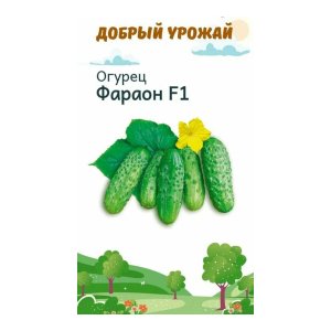 СЕМЕНА ОВОЩНЫХ КУЛЬТУР